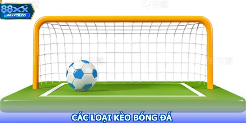Các Loại Kèo Bóng Đá Hàng Đầu Dành Mọi Người Lựa Chọn